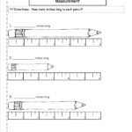 17 Second Grade Measurement Worksheets Worksheeto