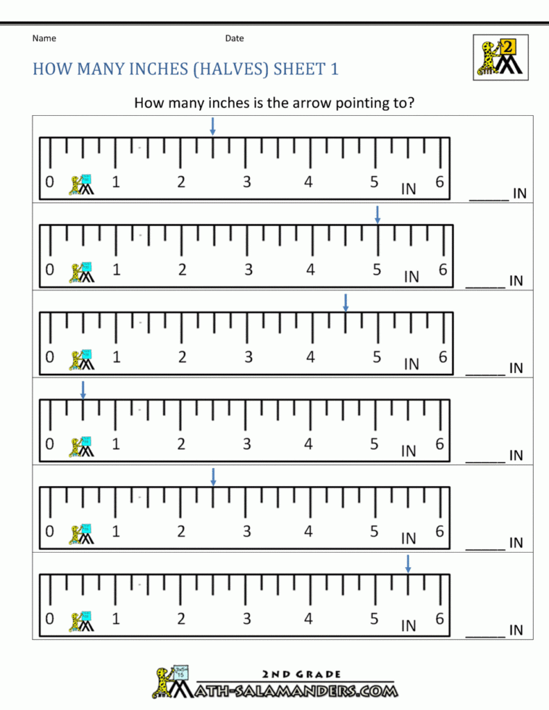 Grade 2 Length Worksheets Units Of Length Inches Feet K5 Learning 