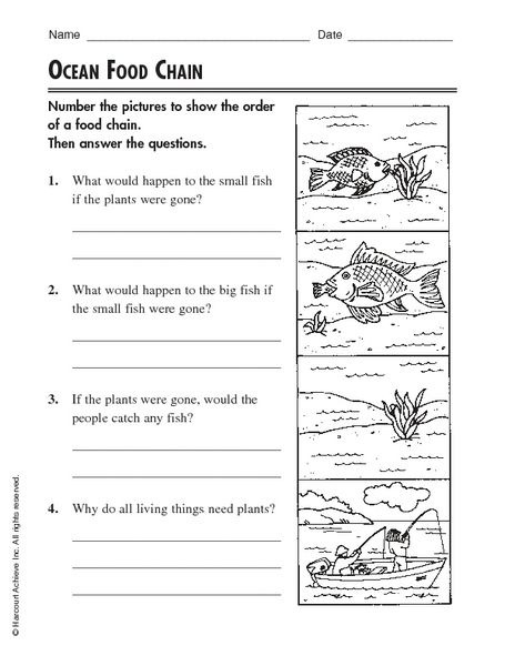 Harcourt Science Grade 4 Worksheets Worksheets Master