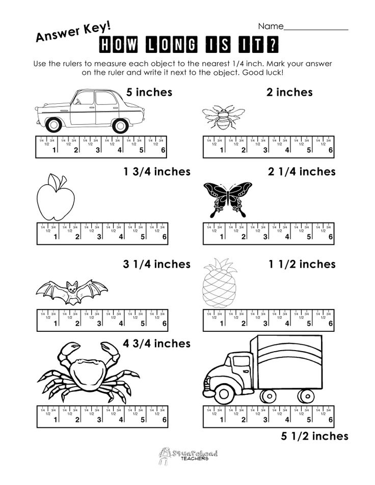 Measurement Practice 1 Measurement Worksheets 2nd Grade Math 