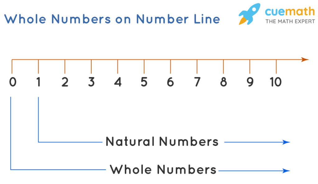 Whole Numbers Definition List Symbol Examples