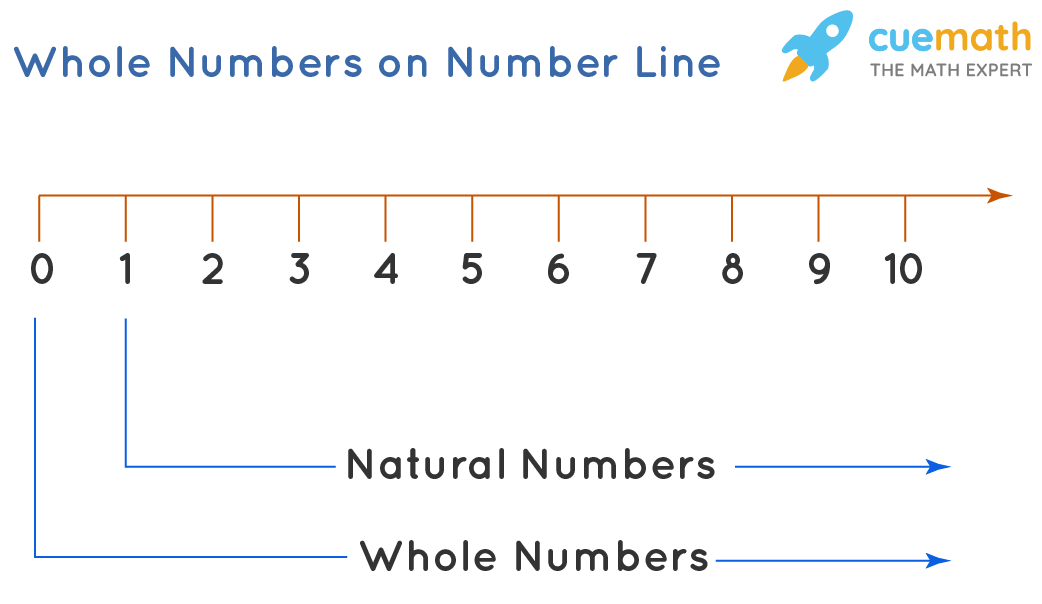 Whole Numbers Definition List Symbol Examples