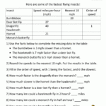Worksheet 2nd Grade Fun Worksheets Grass Fedjp Worksheet Study Site