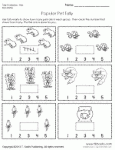 Number And Pre Math Worksheets TLS Books